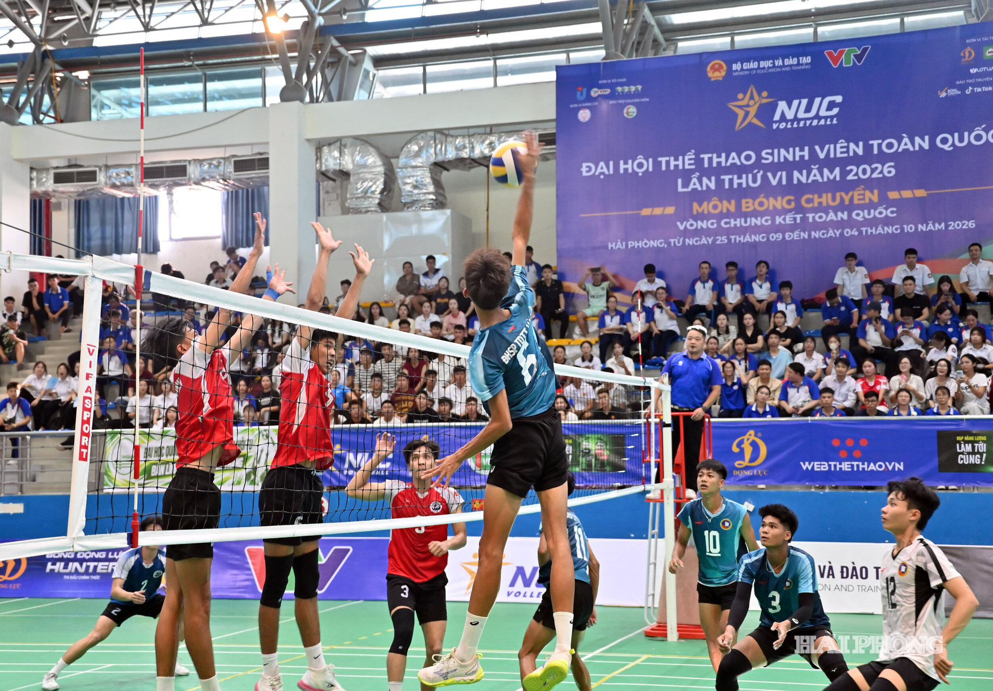 ck-bong-chuyen7.jpg