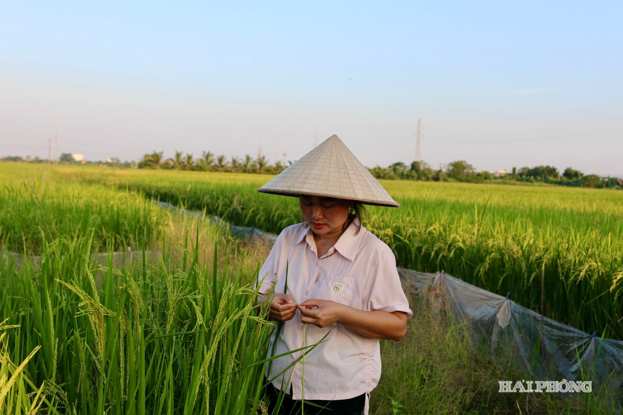 thuong-xuyen tham-dong