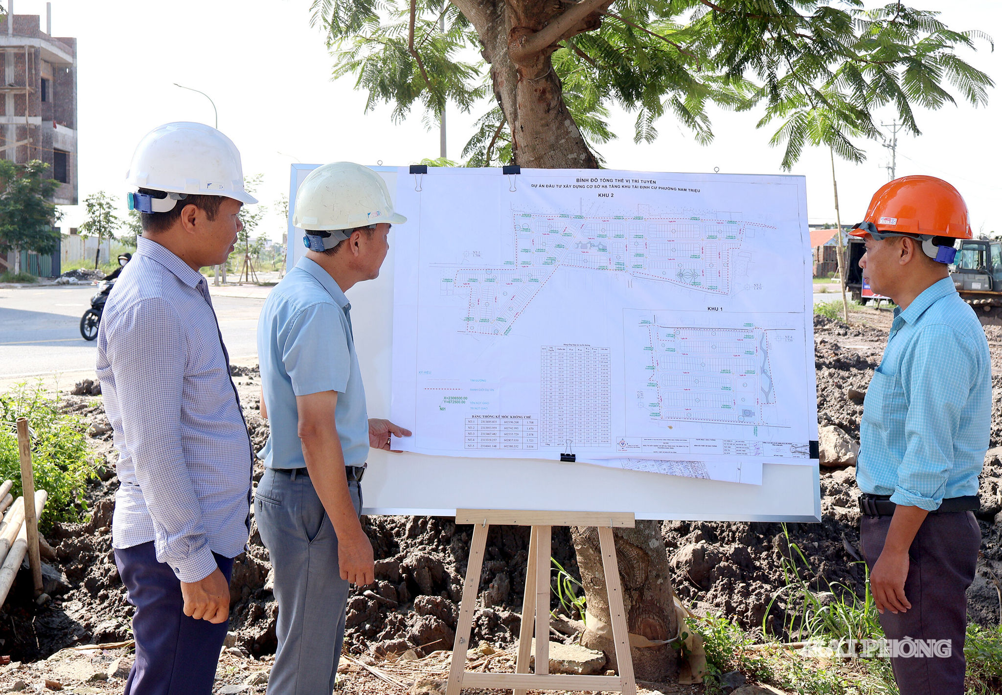 dinh-cu (1)