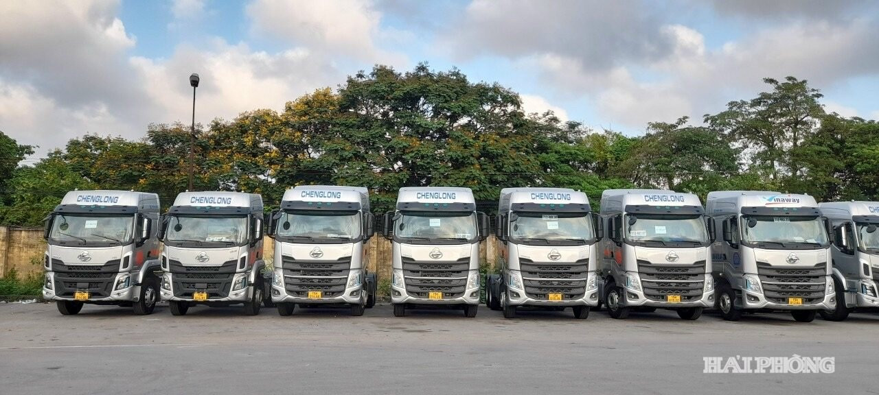  Công ty Cổ phần AOE Logistics (phường Hải An), hiện có 25 xe và thiếu 2 xe chưa có lái.