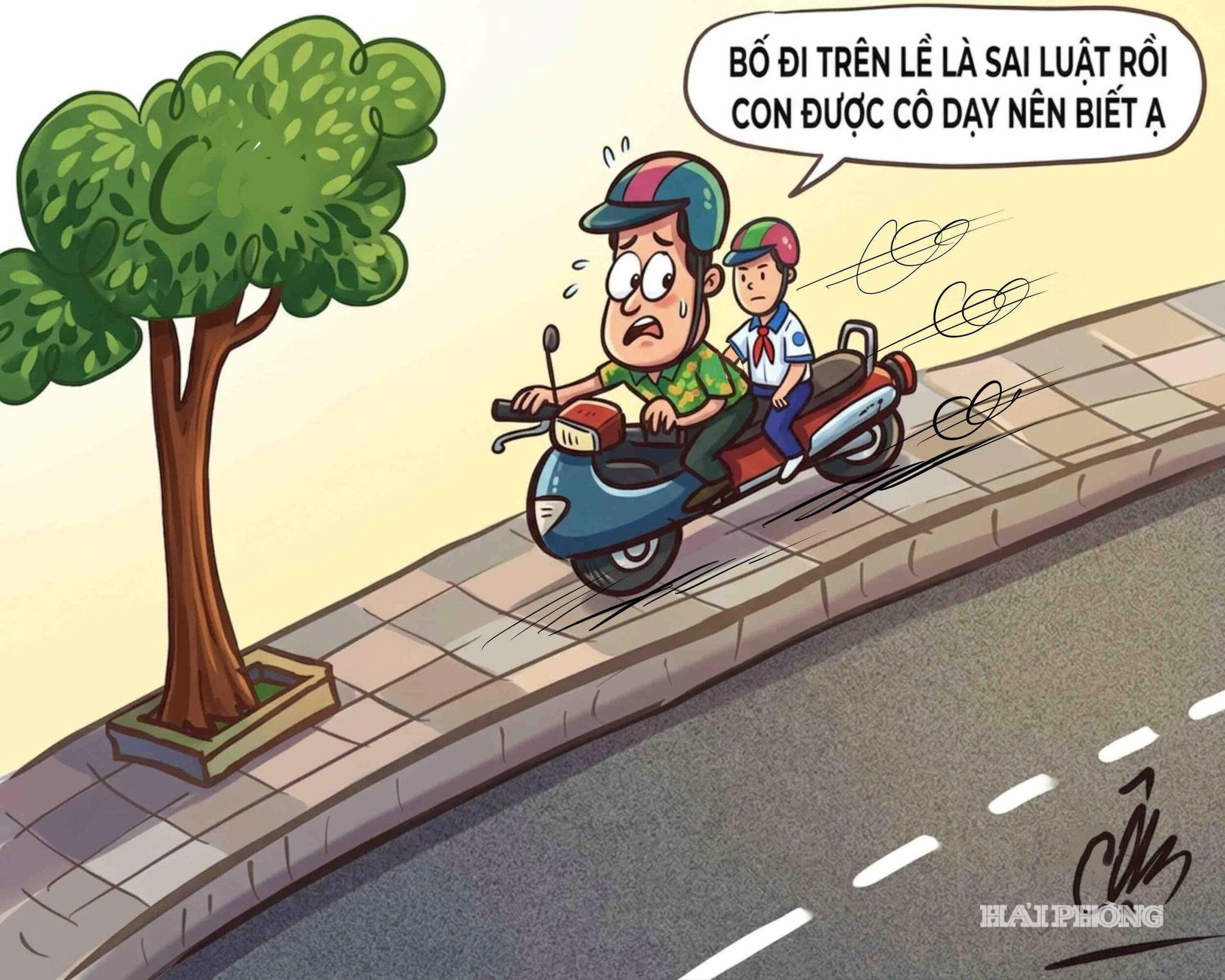 sai-luat.jpg