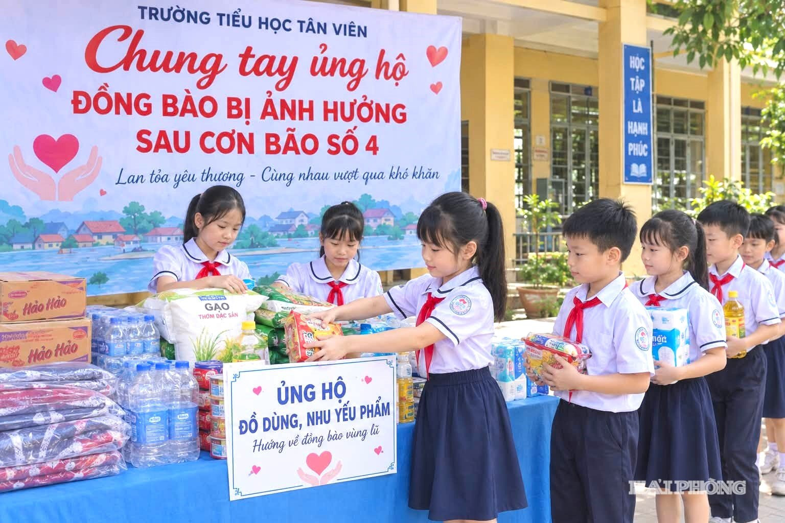 tieu-hoc-tan-vien.jpeg