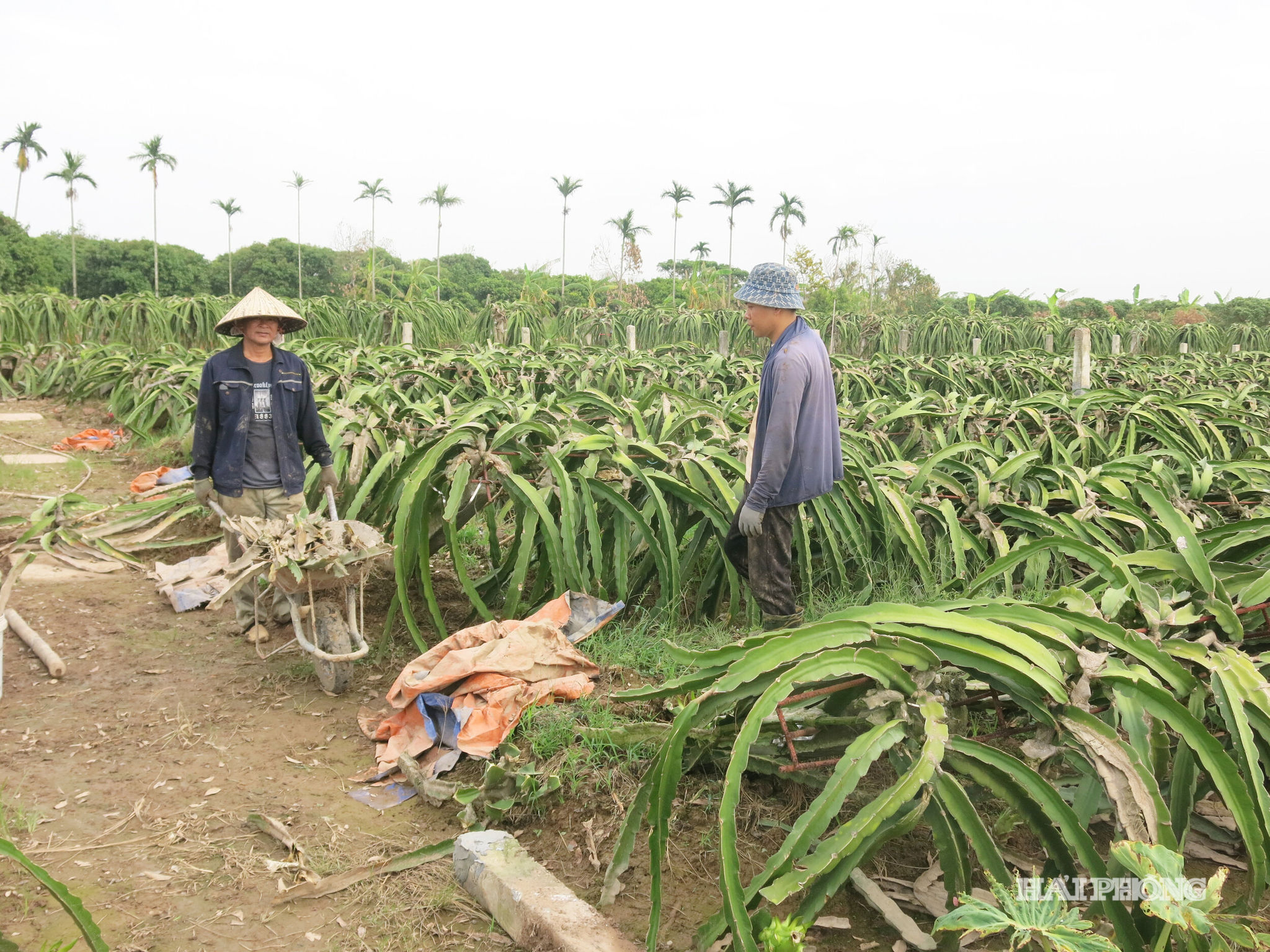 xa-an-truong.jpg