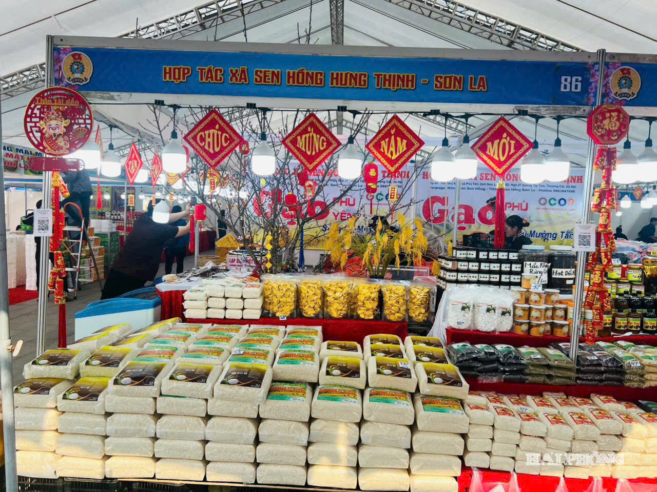 HTX Sen Hồng Hưng Thịnh ở tỉnh Sơn La luôn tích cực tham gia các chương trình kết nối cung cầu nông sản tại Hải Phòng