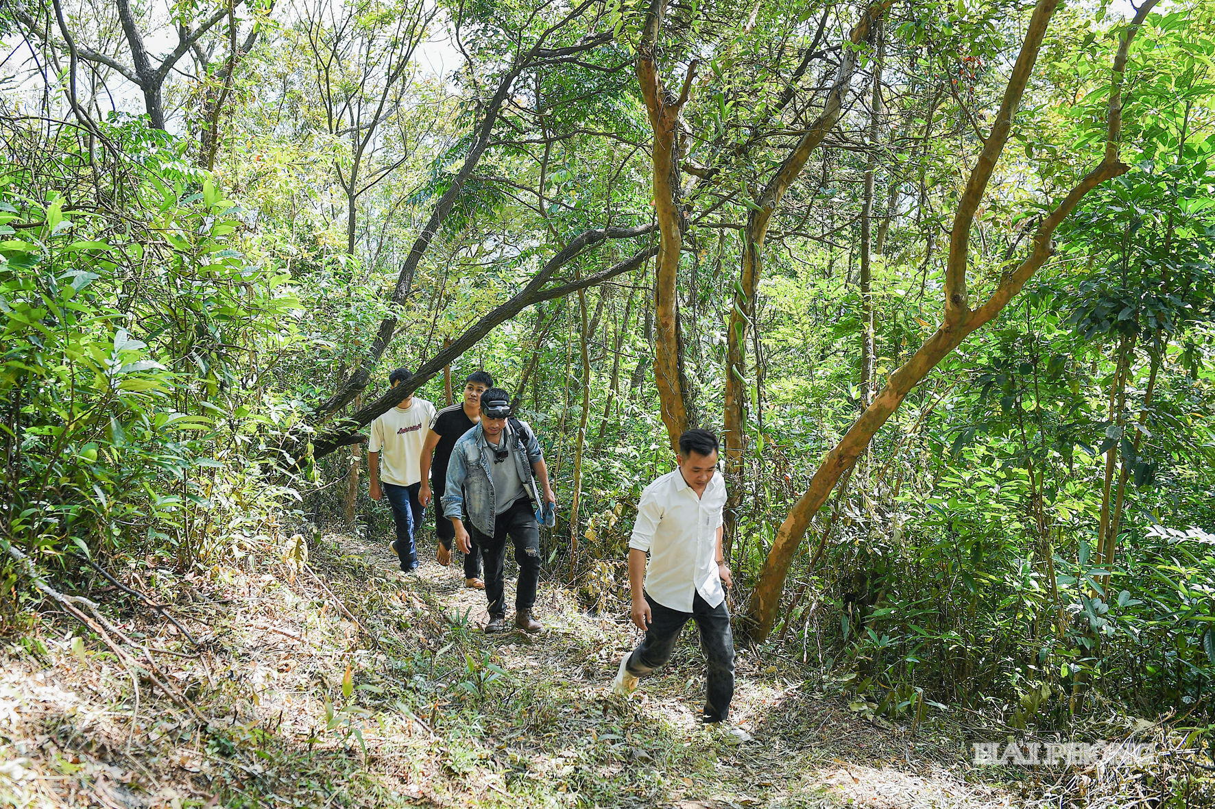 tam-ban-1-be1ab9944c7a1d03ddbf984c090cc41b.jpg