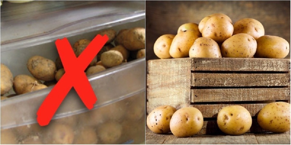 Tuyệt đối không nên bỏ khoai tây trong tủ lạnh.