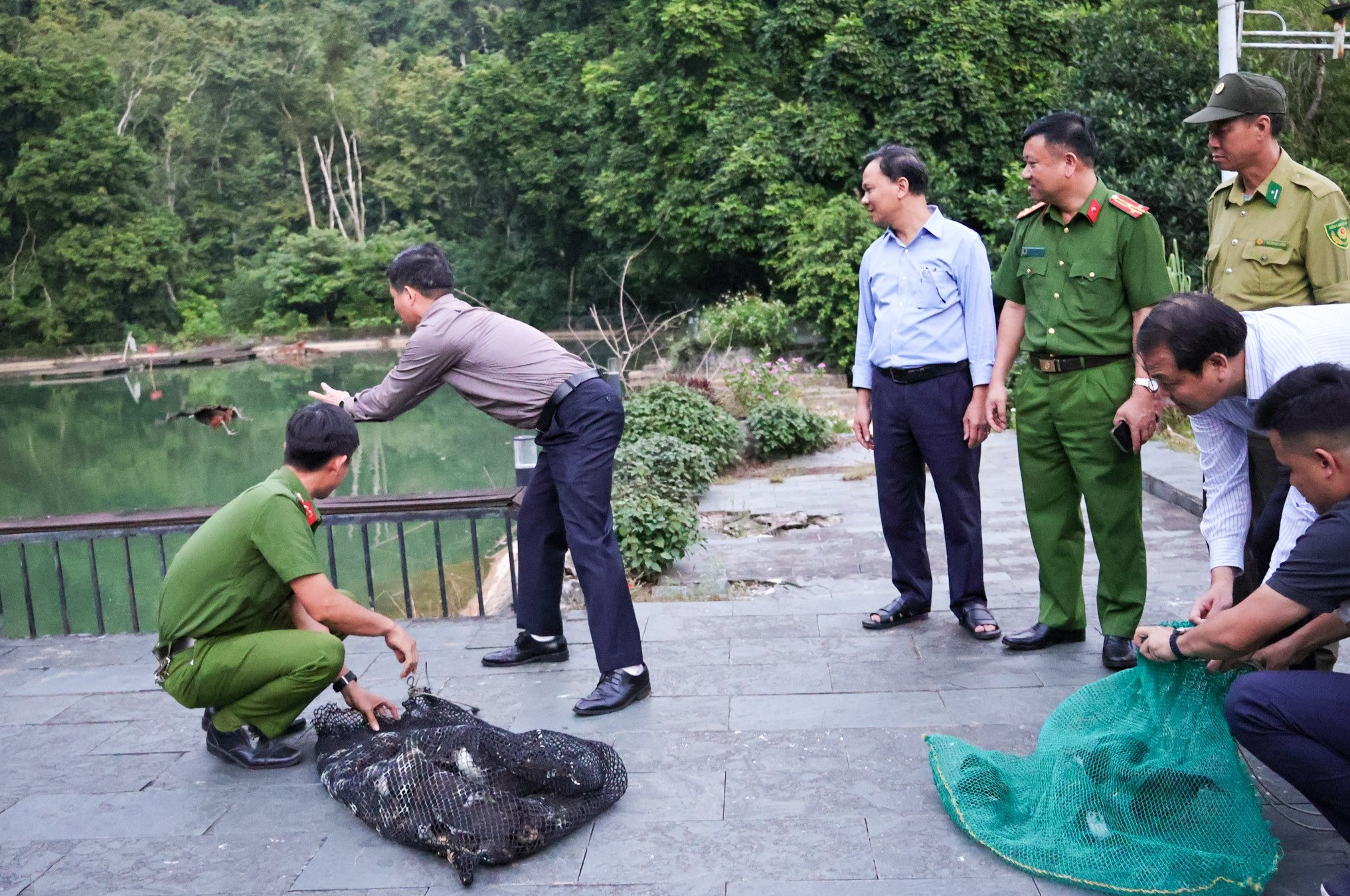 bảo vệ động vật hoang dã
