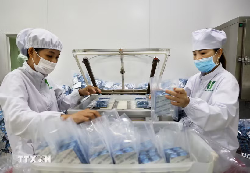 Đóng gói dược phẩm loại viên nang tại nhà máy sản xuất dược phẩm. (Ảnh: Hồng Đạt/TTXVN)