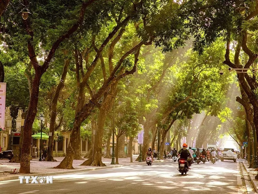 (Ảnh minh họa: Khánh Hòa/TTXVN)
