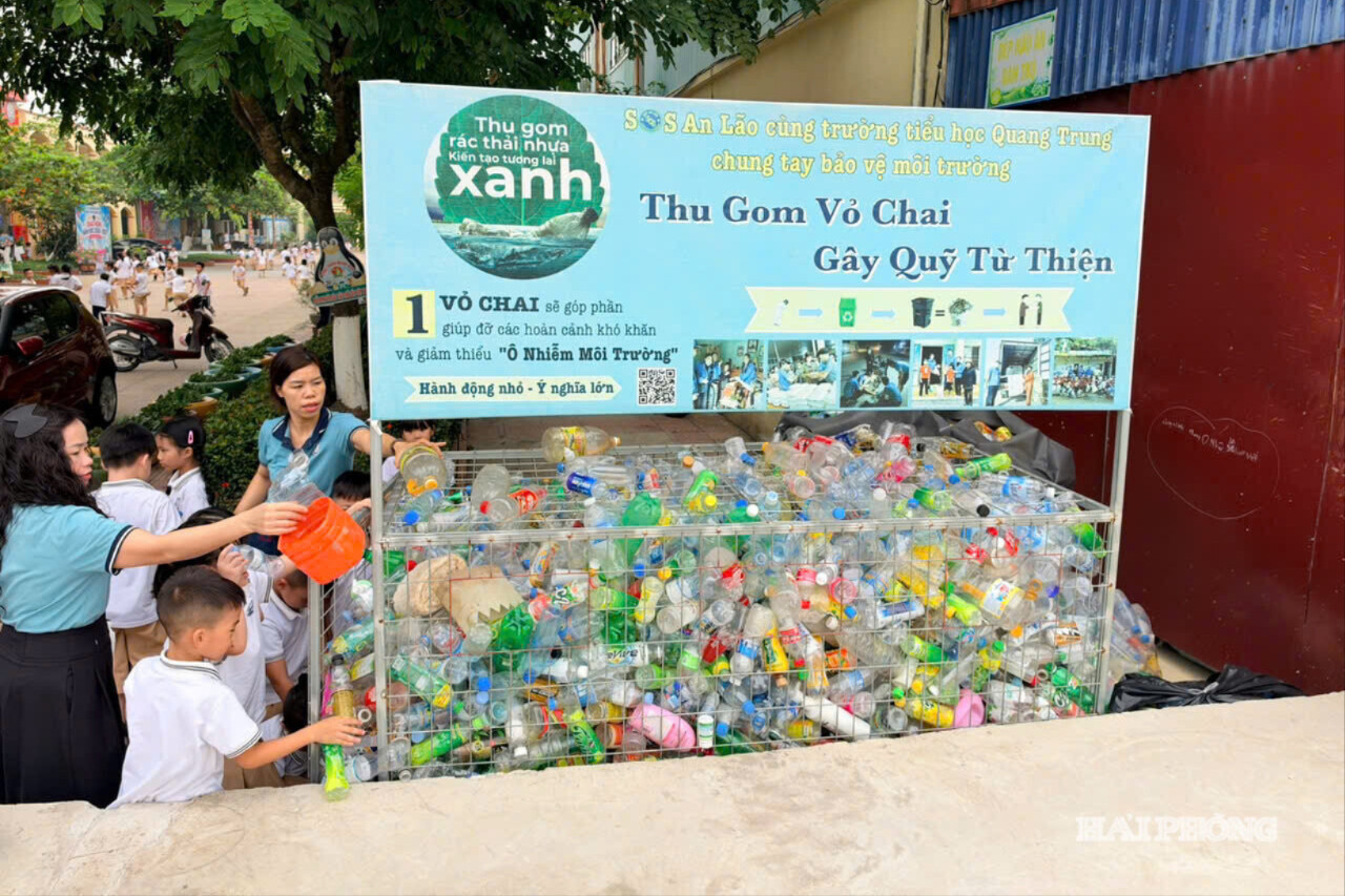 thu-gom-v-vo-chai.jpg
