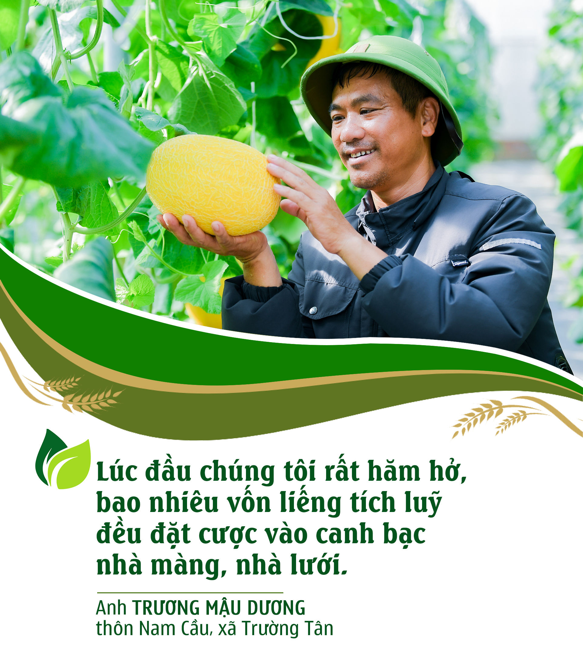 truong-mau-duong.jpg