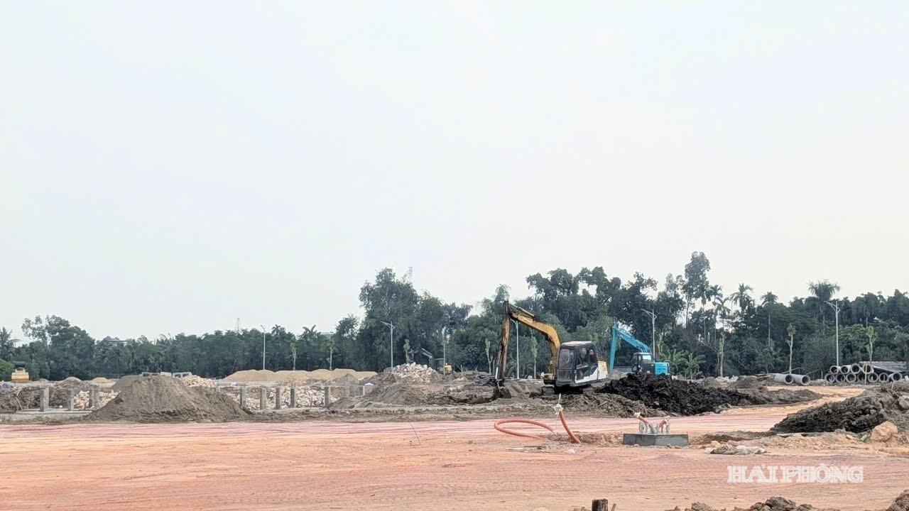 phuong-an-hai.jpg