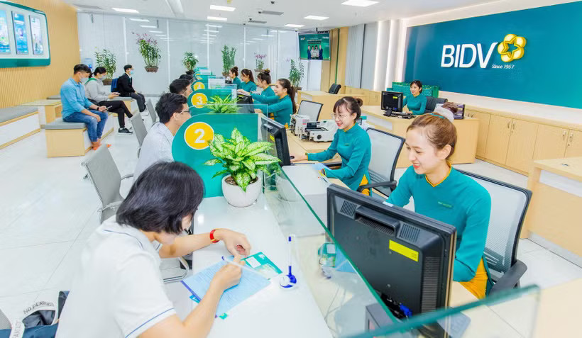 Nguồn vốn với chi phí hợp lý từ BIDV sẽ góp phần thúc đẩy hoạt động sản xuất, kinh doanh của khách hàng. (Ảnh: Vietnam+)