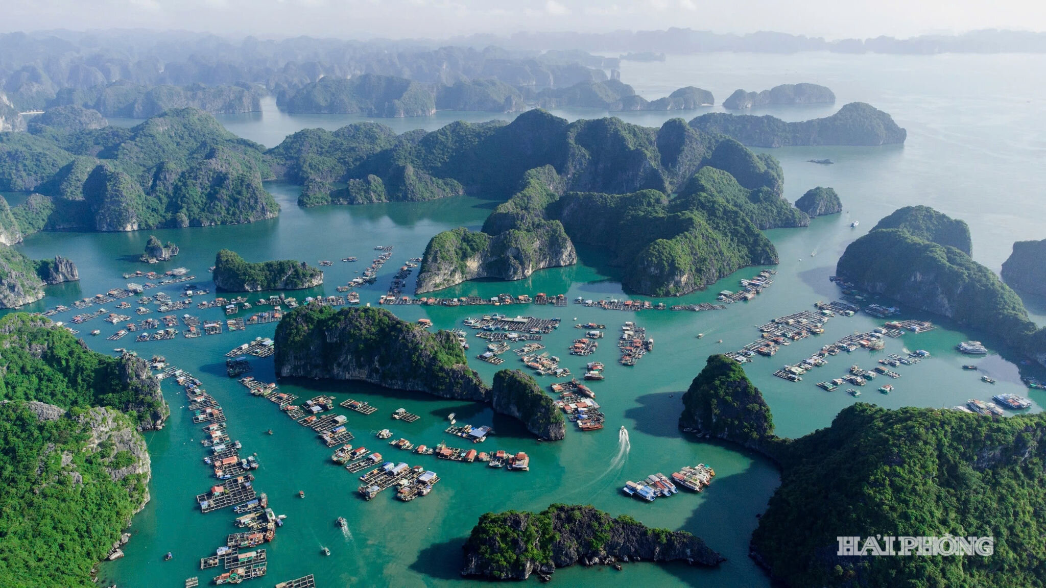 Hơn sáu thập niên trôi qua, lời Bác vẫn là điểm tựa tinh thần để Cát Bà phát triển kinh tế gắn với bảo vệ rừng, biển và môi trường sinh thái.