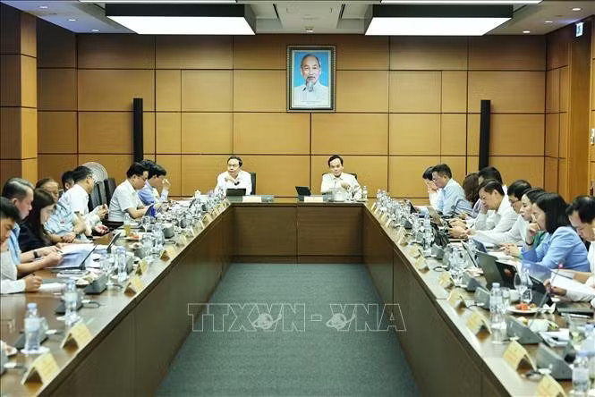media3.baotintuc.vn-images-sm4190uvayve8weiqse9bi8nciaahtruanm68d4-9i_d6g5ckfojb1nnprswvbpq-_tai-to-qh-7661.jpg.avif
