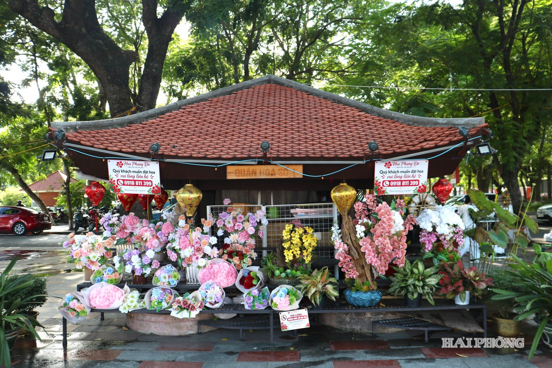 thi-truong-hoa1.jpg