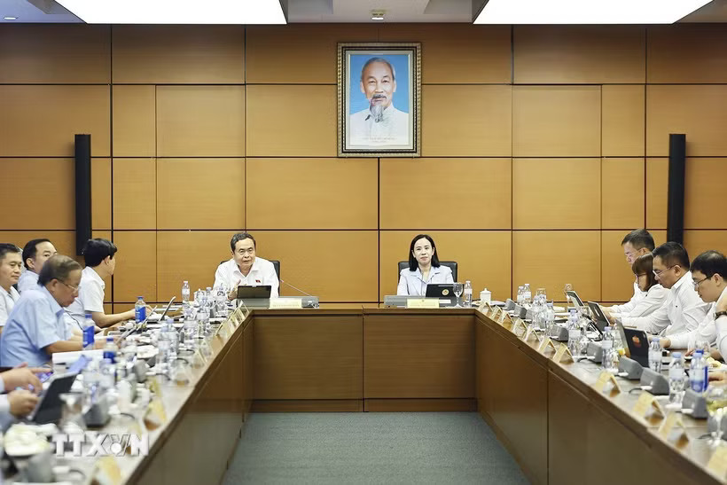Chủ tịch Quốc hội Trần Thanh Mẫn, đại biểu Quốc hội Thành phố Hồ Chí Minh phát biểu. (Ảnh: Doãn Tấn/TTXVN)