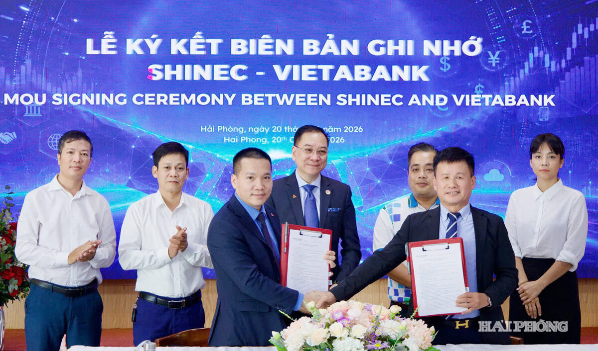 bdp-doanh-nghiep.jpg