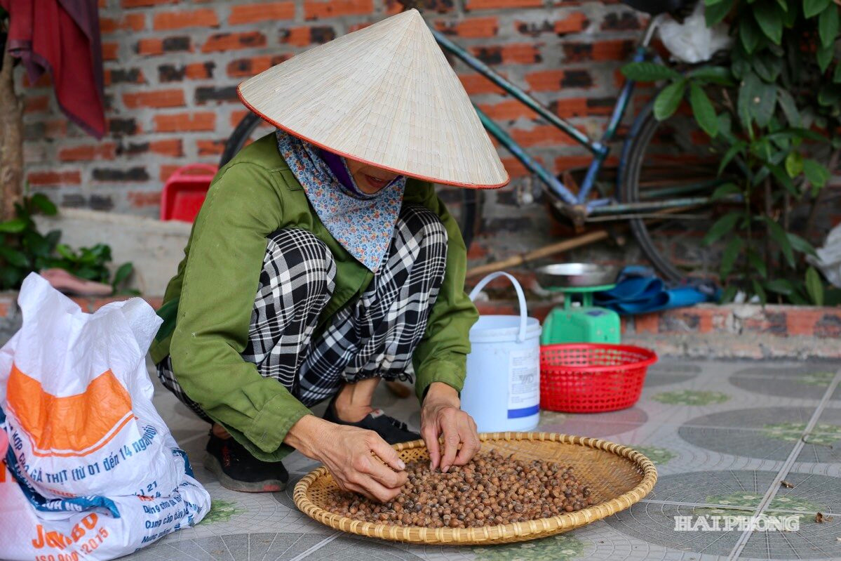 nhat-hat-de.jpg