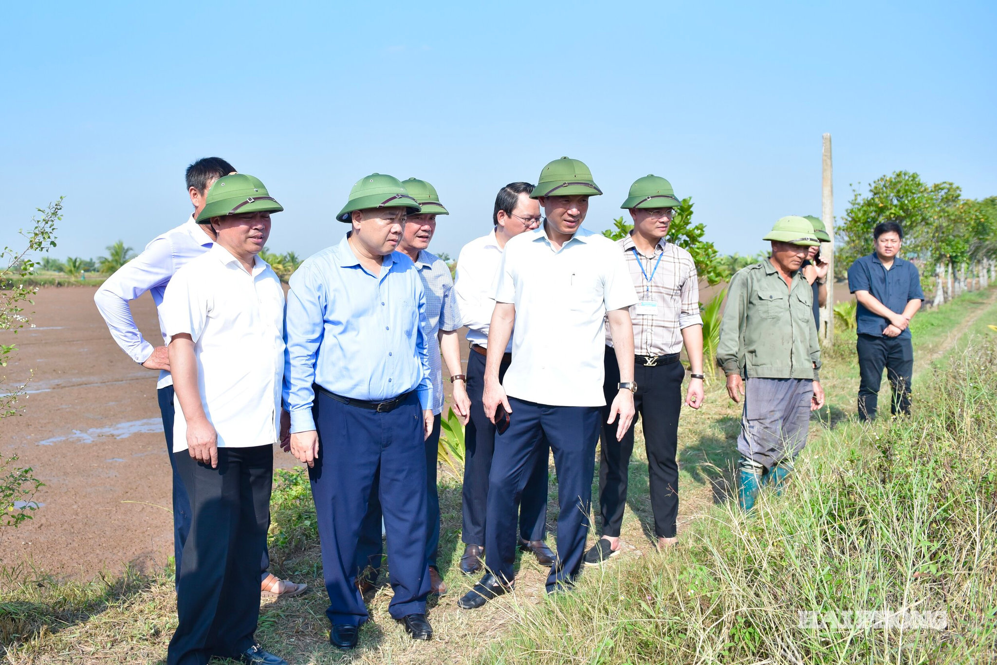 Đồng chí Đỗ Thành Trung, Phó Bí thư Thành uỷ, Chủ tịch UBND thành phố thăm, kiểm tra vùng sản xuất lúa rươi hữu cơ tại xã Chí Minh.