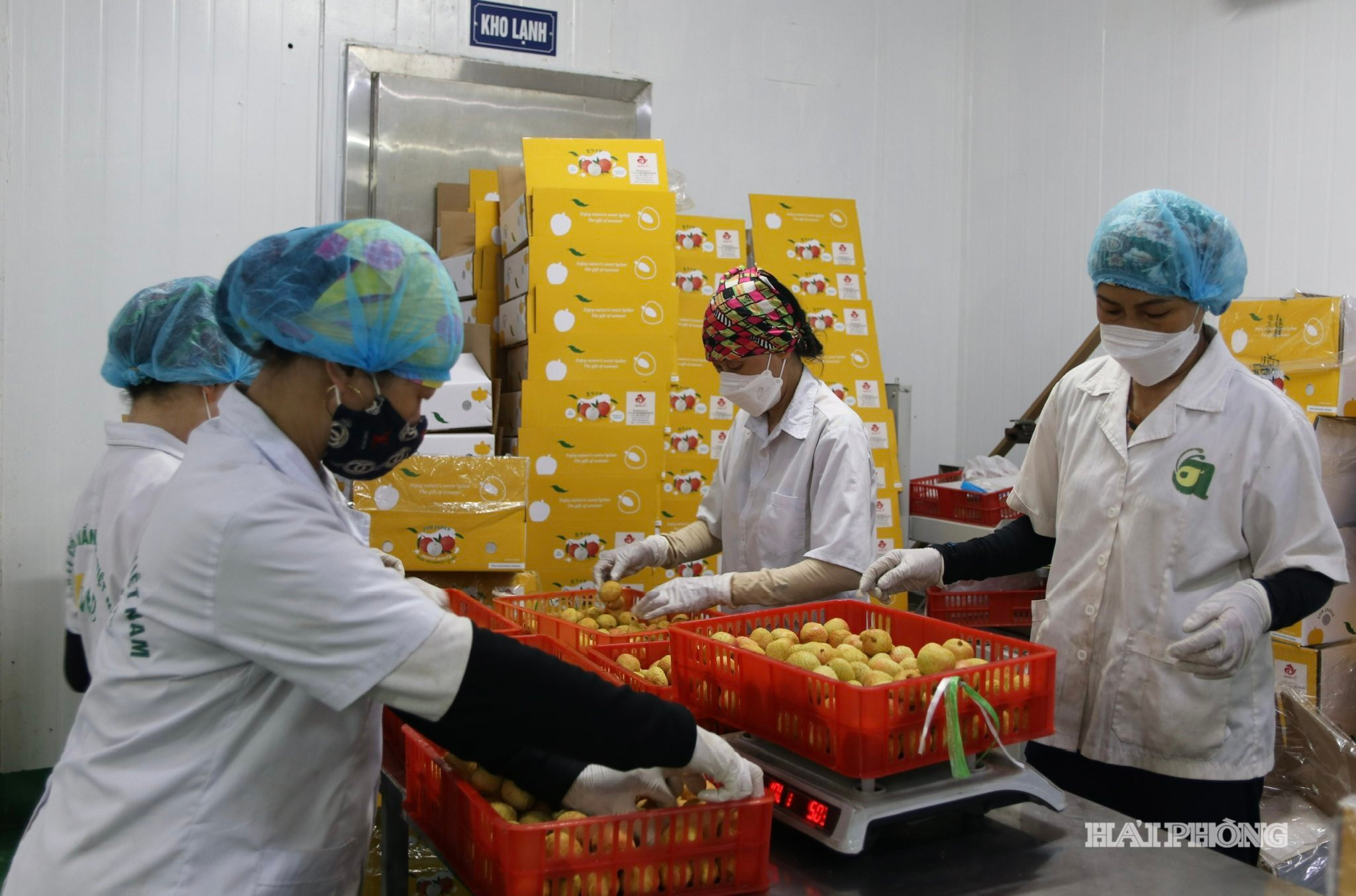 Truy xuất nguồn gốc giúp nâng cao giá trị và thương hiệu nông sản.