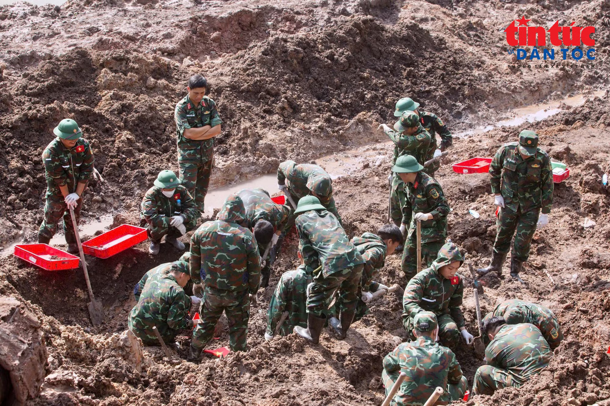 media3.baotintuc.vn-images-6kfzvmjaf6qalpyw1-dybxjw8oe7rtemcu4bbelay0jld3x3dj3jn0nwnwwmc-6g81unbacee9njjc5hdsmo2g-_baotintuc_tr_timmo.jpg.avif