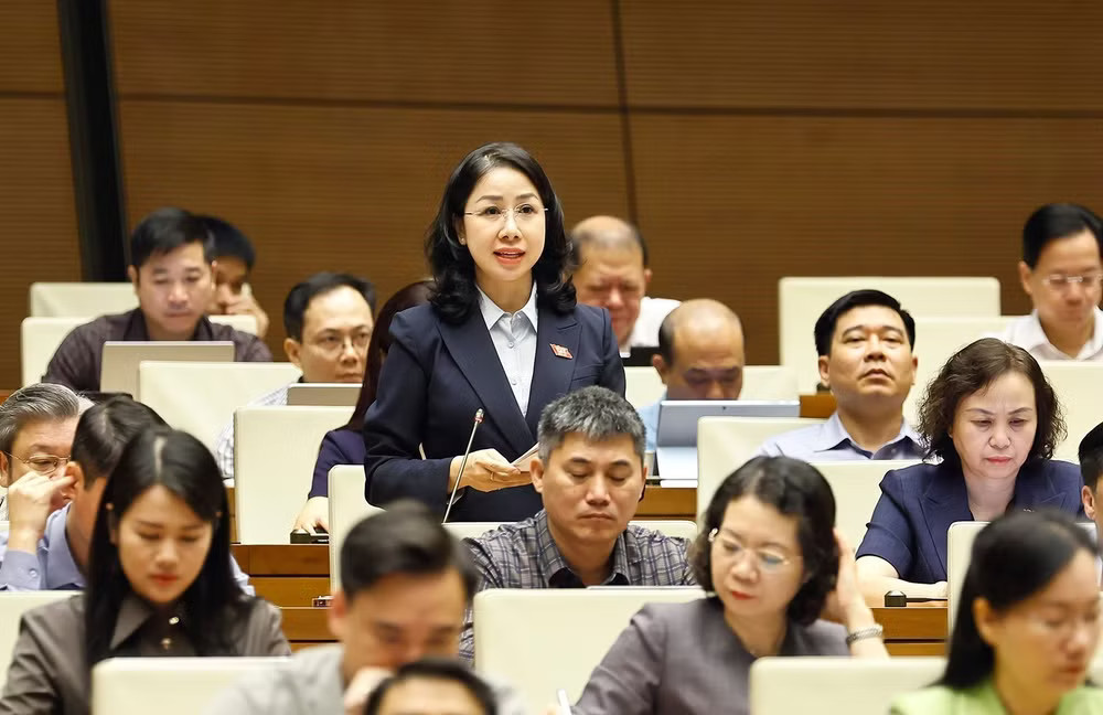 vna-potal-quoc-hoi-thao-luan-ve-du-thao-bo-luat-hinh-su-sua-doi-9113981.jpg