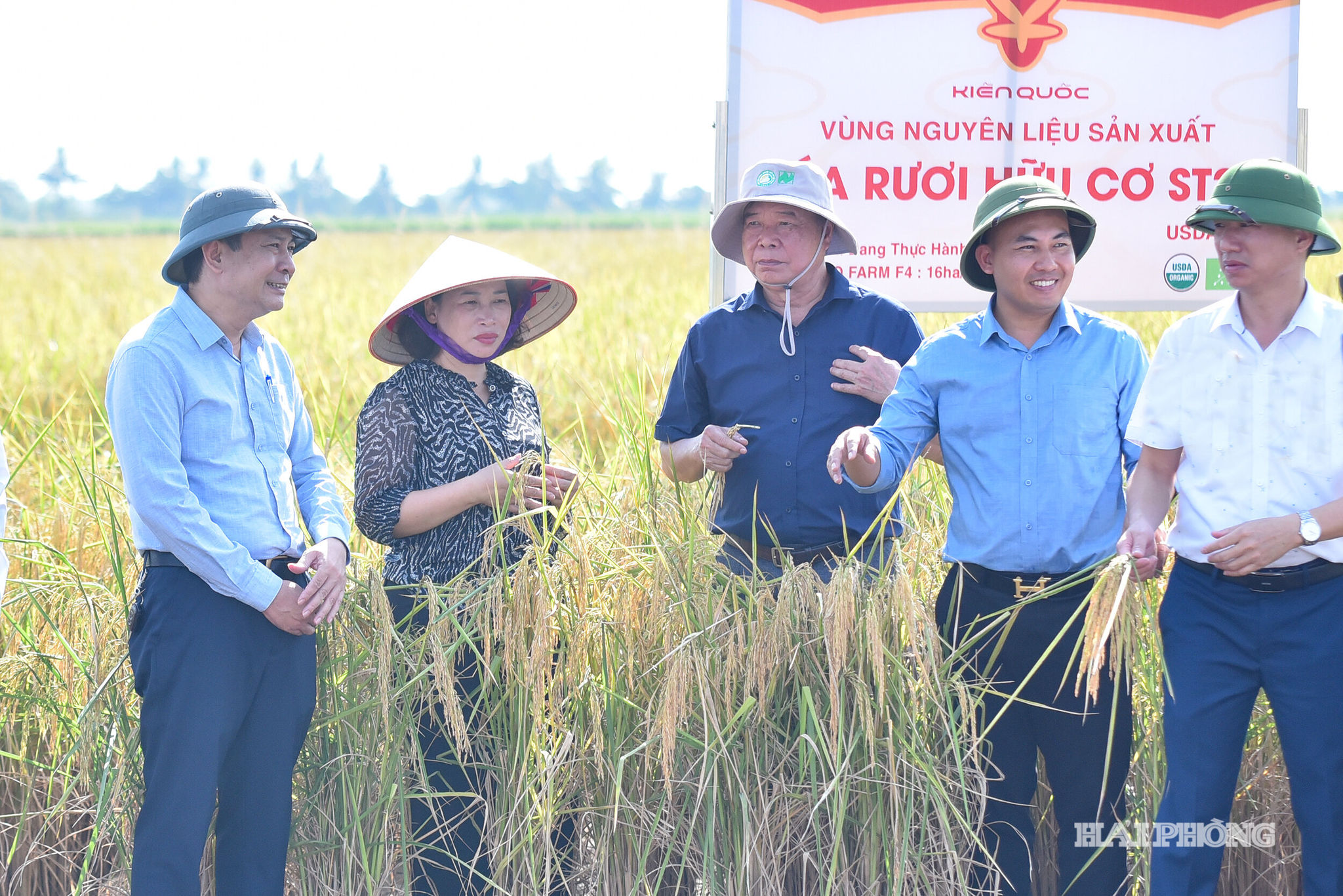lua ruoi Nghi Duong3