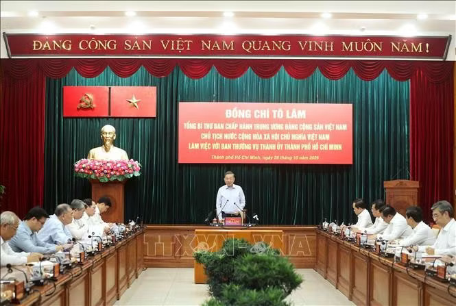 media3.baotintuc.vn-images-sm4190uvayve8weiqse9blc2n2tekkgzwx3h9ts-f4o0ipymz-hei7ssgk85chdbply1_lbtt1p4zav03pldoa-_tbt-ctn-tphcm-28102026.jpg.avif