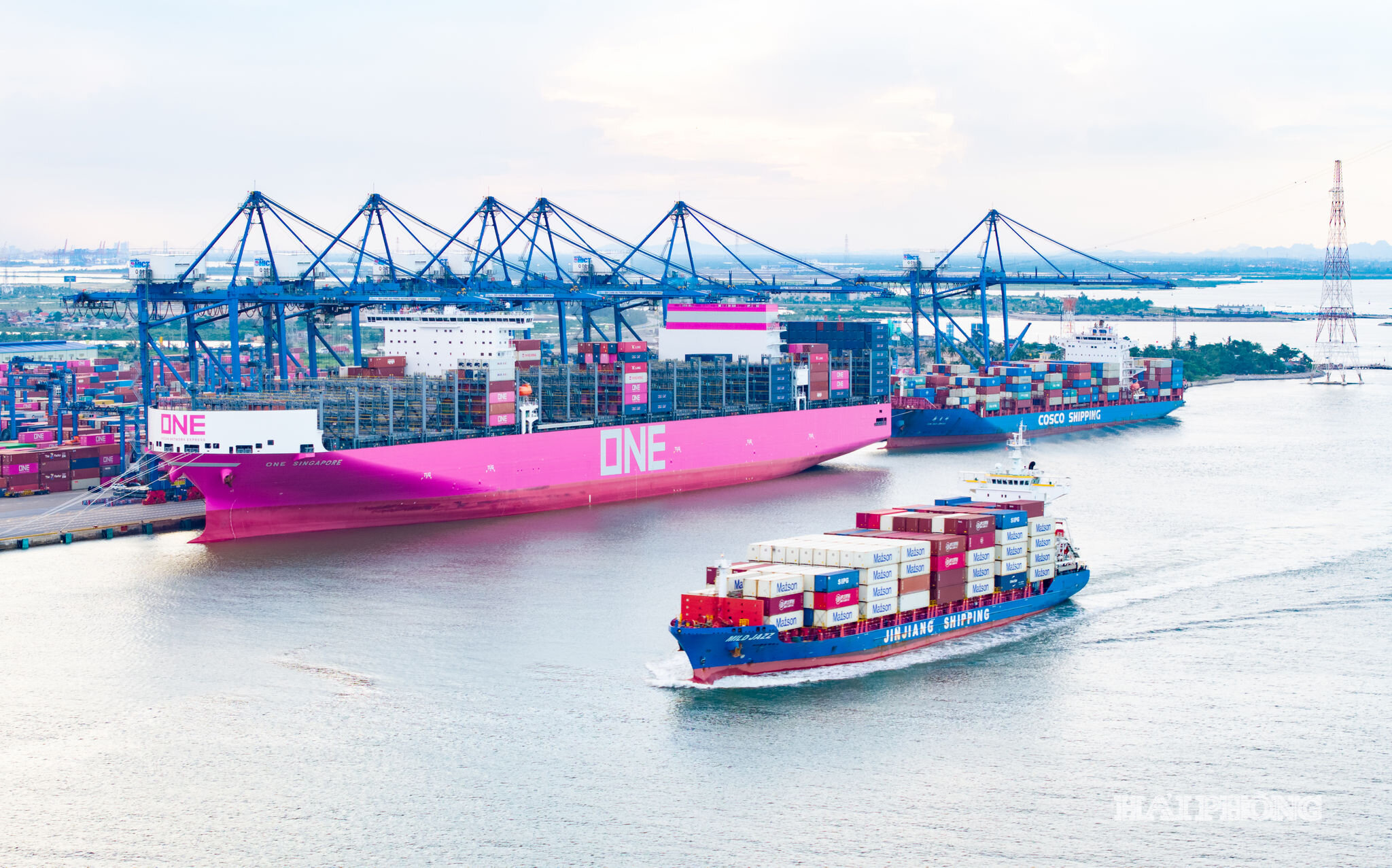 Cảng biển và dịch vụ logistics tạo lợi thế để Hải Phòng mở rộng không gian phát triển, thúc đẩy tăng trưởng kinh tế. Ảnh: LÊ DŨNG