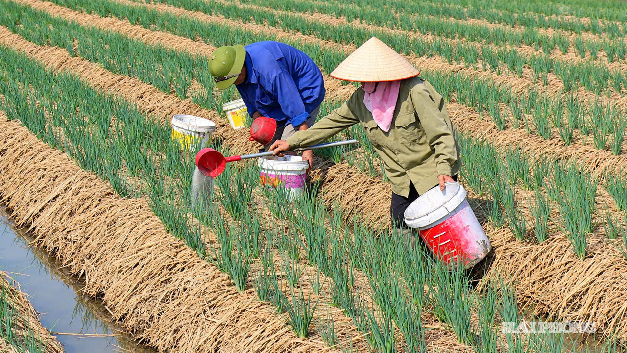 hanh-toi-kinh-mon.jpg