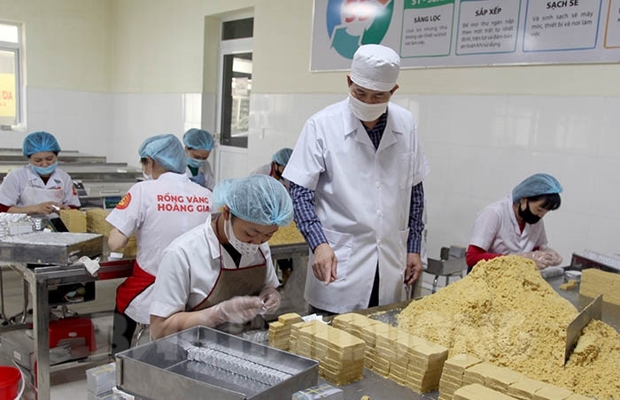 Bỏ nghề thẩm phán đi sản xuất bánh đậu xanh - BaoHaiDuong