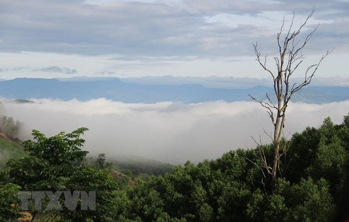  Biển mây trên đỉnh đèo Ba Cụm, huyện Khánh Sơn trôi mờ ảo vào lúc 7 giờ sáng. (Ảnh: Phan Sáu/TTXVN) 