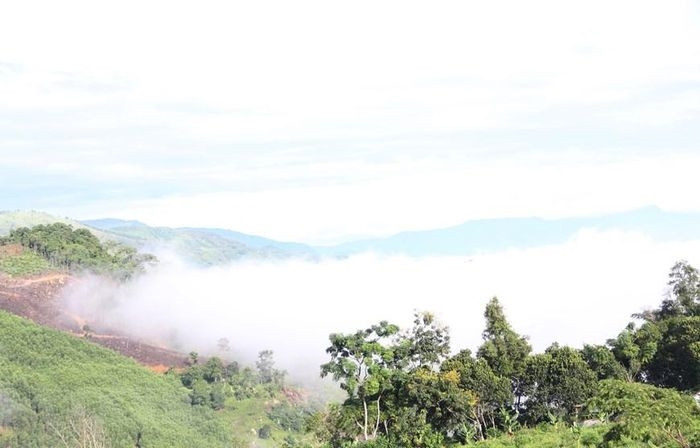  Mây trên đỉnh đèo vào hơn 7 giờ sáng trôi qua các thung lung xanh của huyện miền núi Khánh Sơn. (Ảnh: Phan Sáu/TTXVN) 