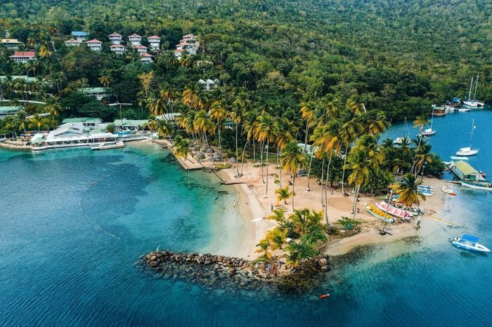  Đảo Saint Lucia nổi tiếng với những bãi biển núi lửa. Ảnh: Unsplash.
