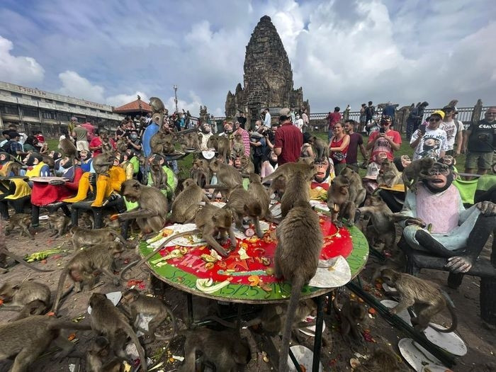  Những hàng tượng khỉ bưng khay được xếp thành hàng bên ngoài khuôn viên một ngôi chùa tại Lopburi - cách Bangkok khoảng 150 km về phía bắc, trong khi các tình nguyện viên tất bật chuẩn bị đại tiệc cho khỉ vào hôm 27/11. Đây được coi là lễ hội truyền thống hàng năm ở Lopburi - thủ phủ tỉnh cùng tên. Người dân tổ chức lễ hội này như một cách bày tỏ lòng biết ơn với việc khỉ - biểu tượng tại Lopburi - góp công sức vào ngành du lịch địa phương. 
