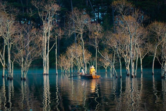 Nhiều du khách ví nơi này đẹp ma mị như trong cảnh phim kiếm hiệp, với hàng cây soi bóng mặt hồ tĩnh lặng xanh thẳm, ngư phủ trầm ngâm giăng câu...