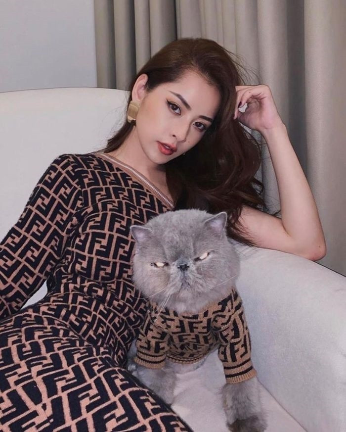 Thú cưng của Chi Pu là giống mèo Anh, có tên Pumeo. Cô cho chú mèo cưng mặc chiếc áo có giá 50 USD (khoảng 1,2 triệu đồng).