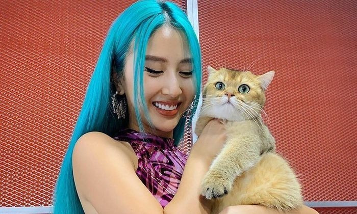 Quỳnh Anh Shyn quyết định nhận nuôi một chú mèo dễ thương. Đặc biệt, cô đặt tên cho thú cưng của mình là... Chim. Chú mèo có màu lông nâu ngả vàng, đôi mắt to tròn và long lanh.