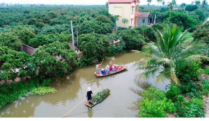Với hệ thống sông ngòi dày đặc và gần 7.000 ha cây ăn quả, huyện Thanh Hà (tỉnh Hải Dương) được ví như “miền Tây thu nhỏ” của vùng đất xứ Đông.