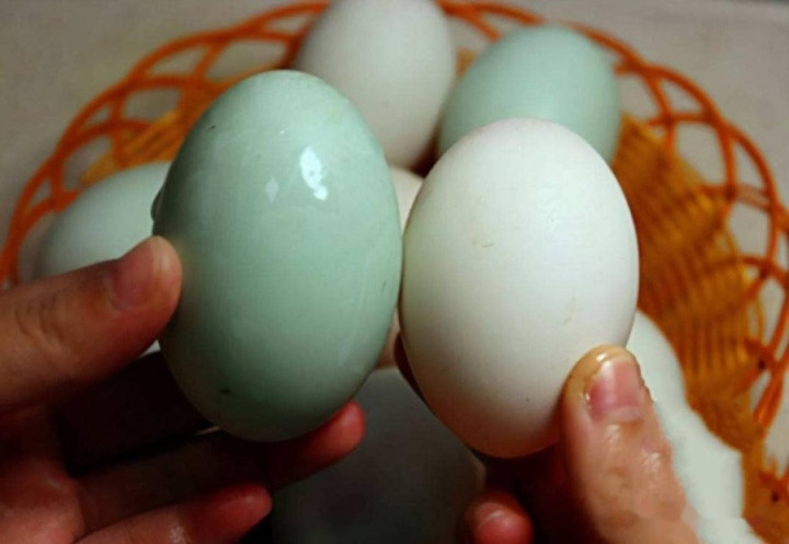 Mua trứng vịt nên chọn quả vỏ trắng hay vỏ xanh? - 2