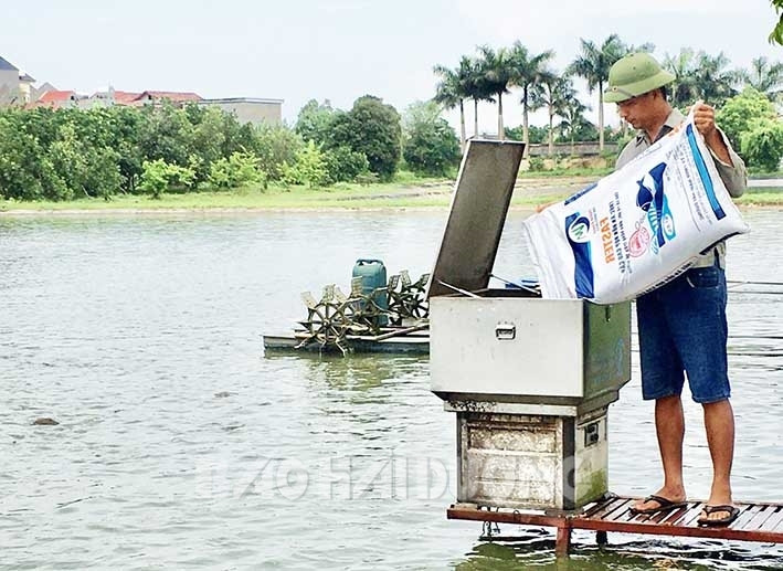 [Audio] Tứ Kỳ phát triển nuôi thủy sản công nghệ cao – BaoHaiDuong
