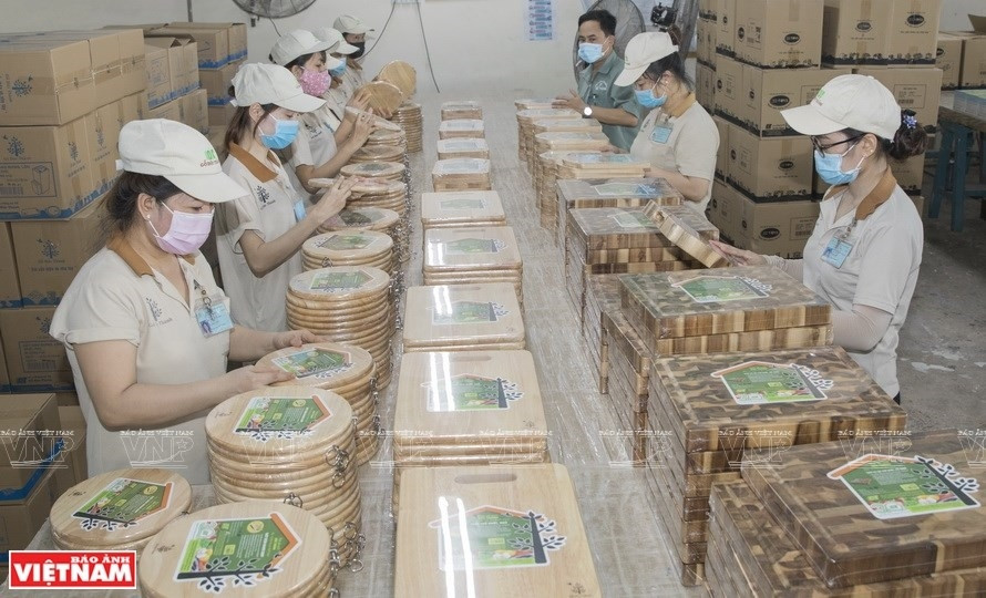 Vietnamese wood - A billion-dollar industry springs forward hinh anh 5