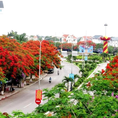 Check-in tuyến đường nhiều hoa phượng nhất Việt Nam