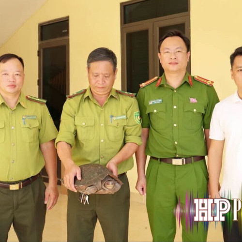 Bản tin 5 phút an ninh trật tự ngày 30/9/2026