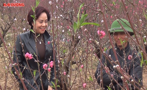 Mùa xuân mới đang về
