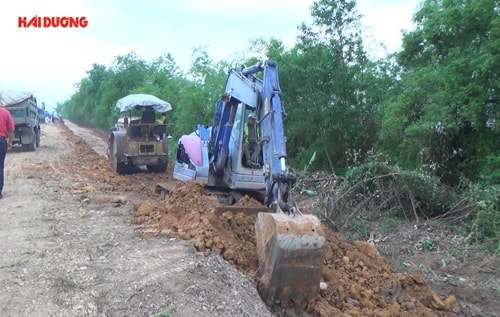 Tu bổ 14 công trình đê điều