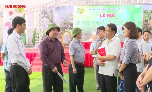 Sẵn sàng cho Lễ hội vải thiều