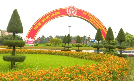 Sắc hoa thành phố