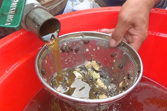 Thanh Hà mùa mật ngọt